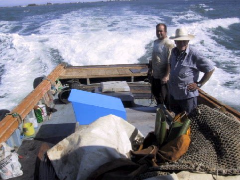 Imagen de Capitol 8 - 2001